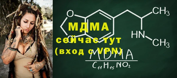 хмурый Арсеньев