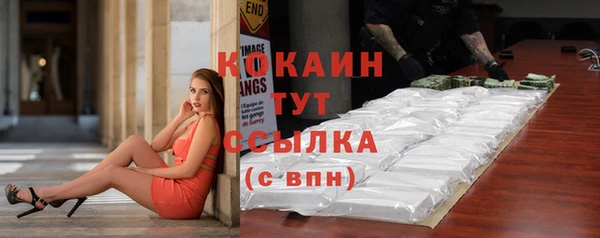 хмурый Арсеньев