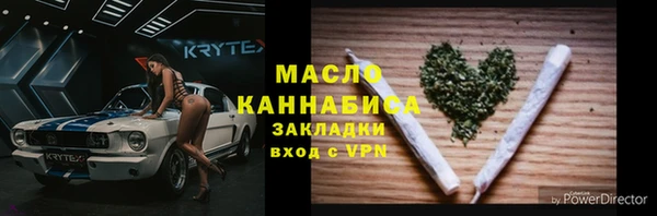 хмурый Арсеньев