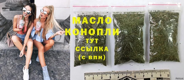 хмурый Арсеньев