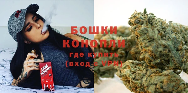 хмурый Арсеньев