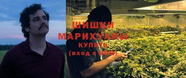 сатива Аркадак