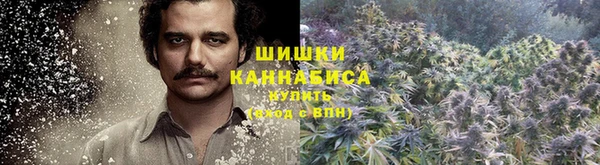сатива Аркадак