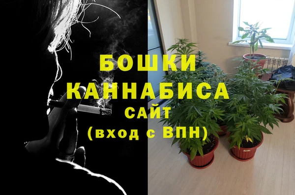 сатива Аркадак