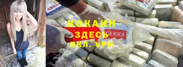 хмурый Арсеньев