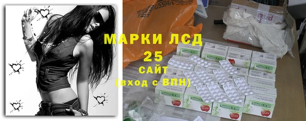 хмурый Арсеньев