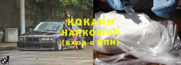 сатива Аркадак